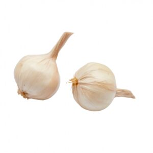 Cipolla
