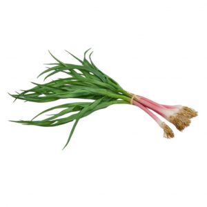 Erba Cipollina